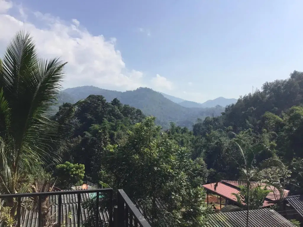 Forest Guesthouse
