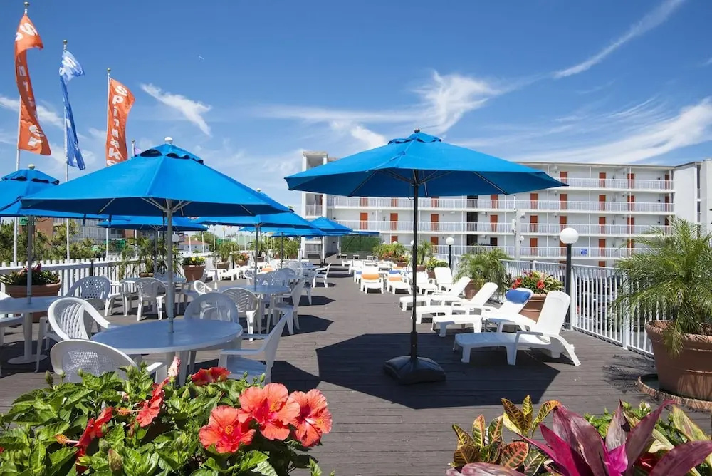 The Spinnaker
