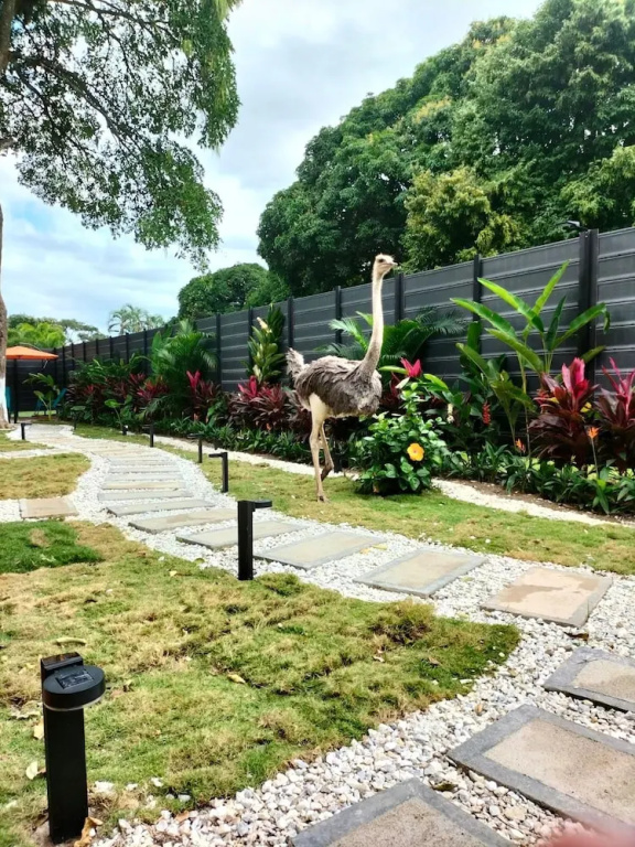 Río Celeste Poshtel Tayrona - Zaino