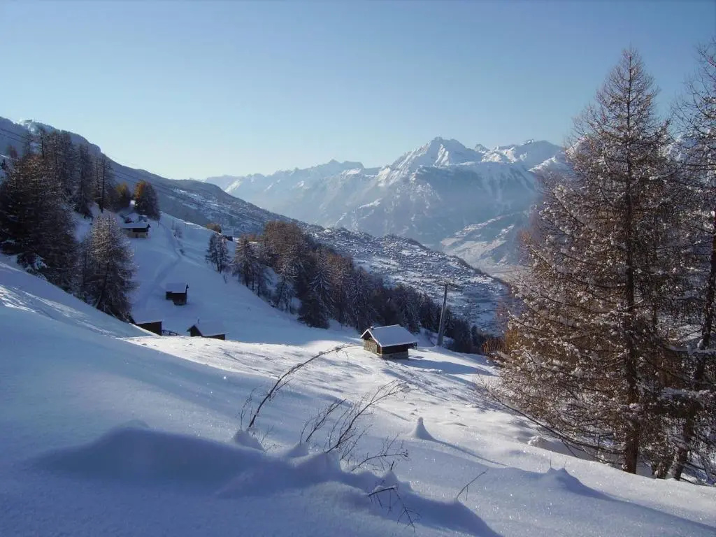 Magrappé M 231 - SKI LIFT apartment 6 pers