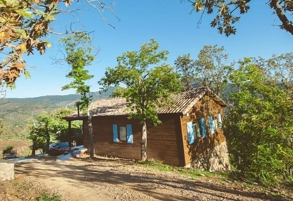 La Brizna