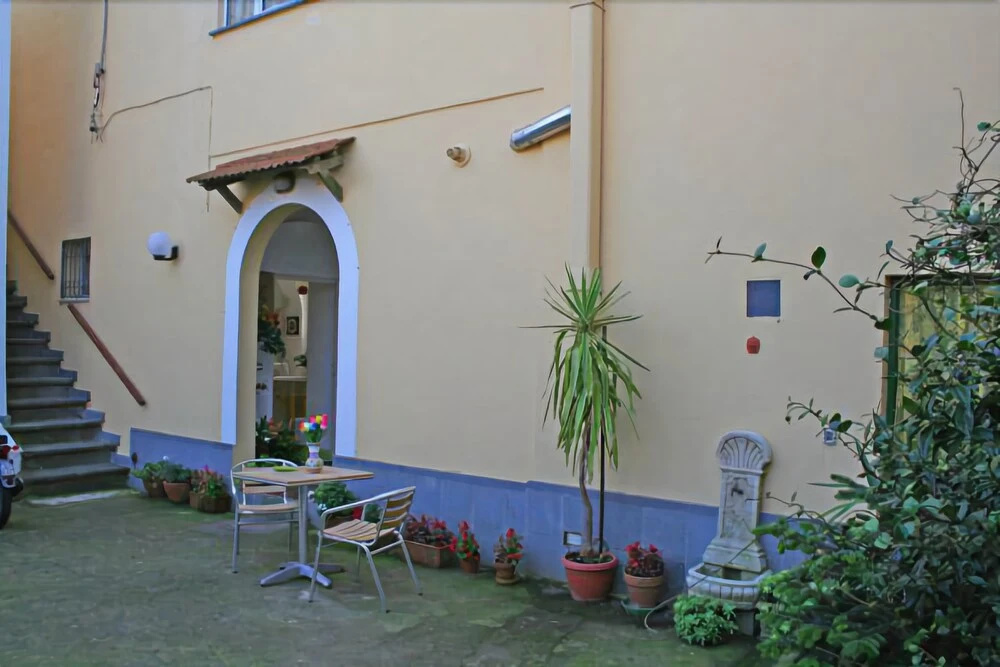 Il Tulipano