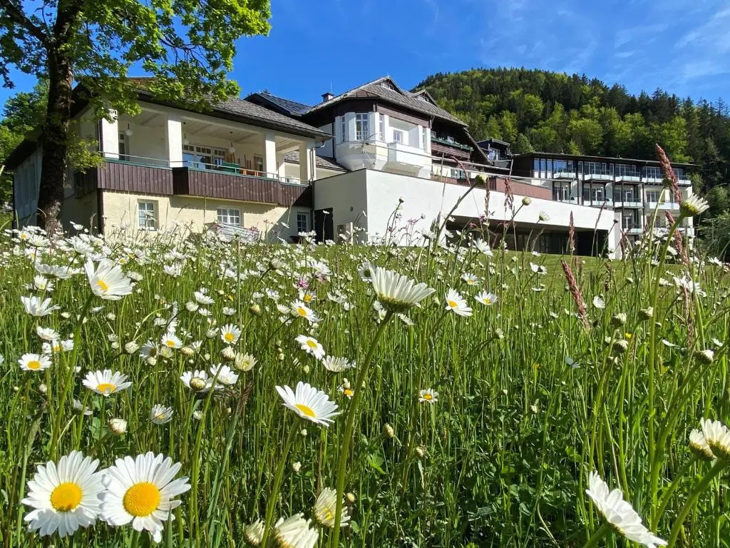 Seehotel Billroth