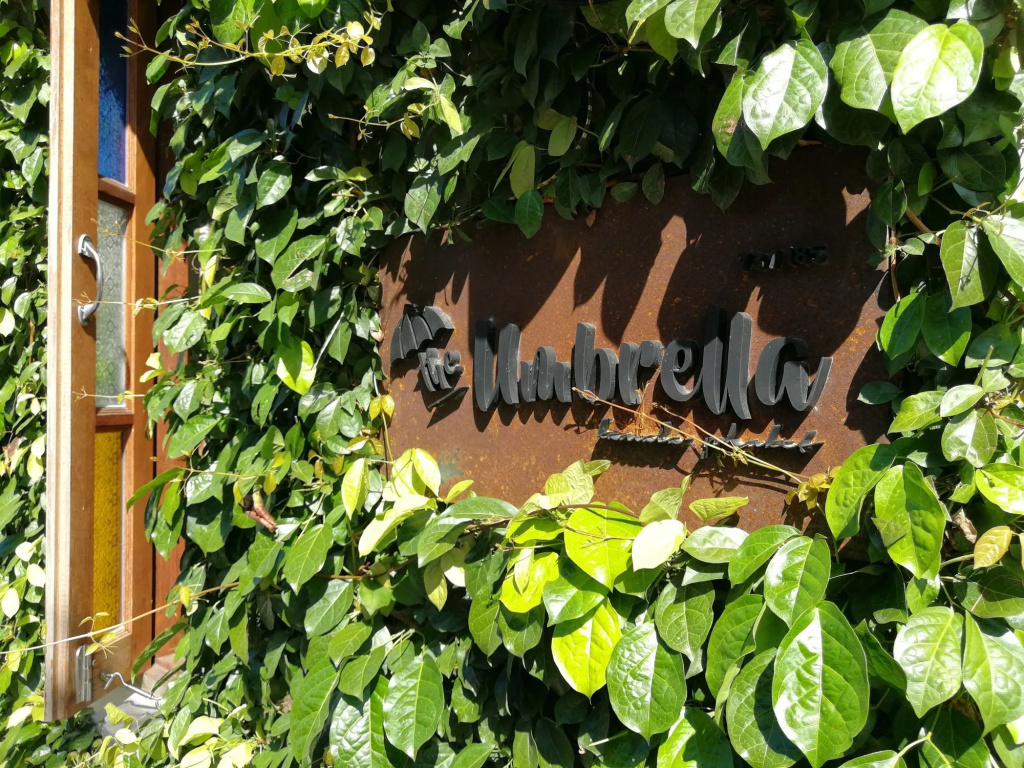 The Umbrella House