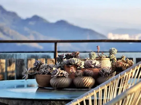Floral Hotel·Shanju Qiuyi Hotel（heshunguzhen）