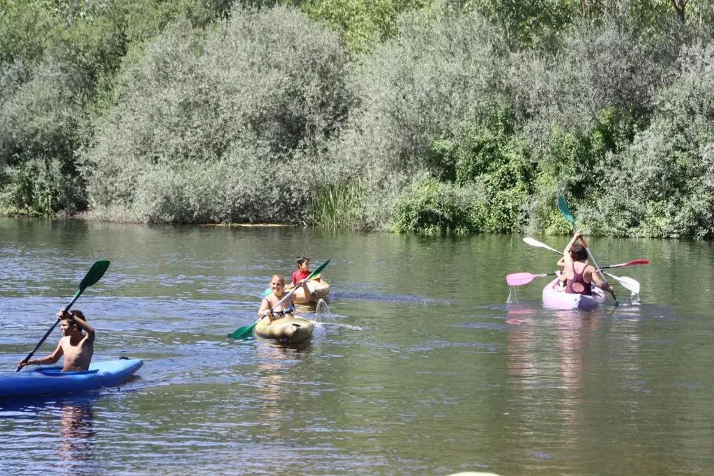 Bardal de Huerta