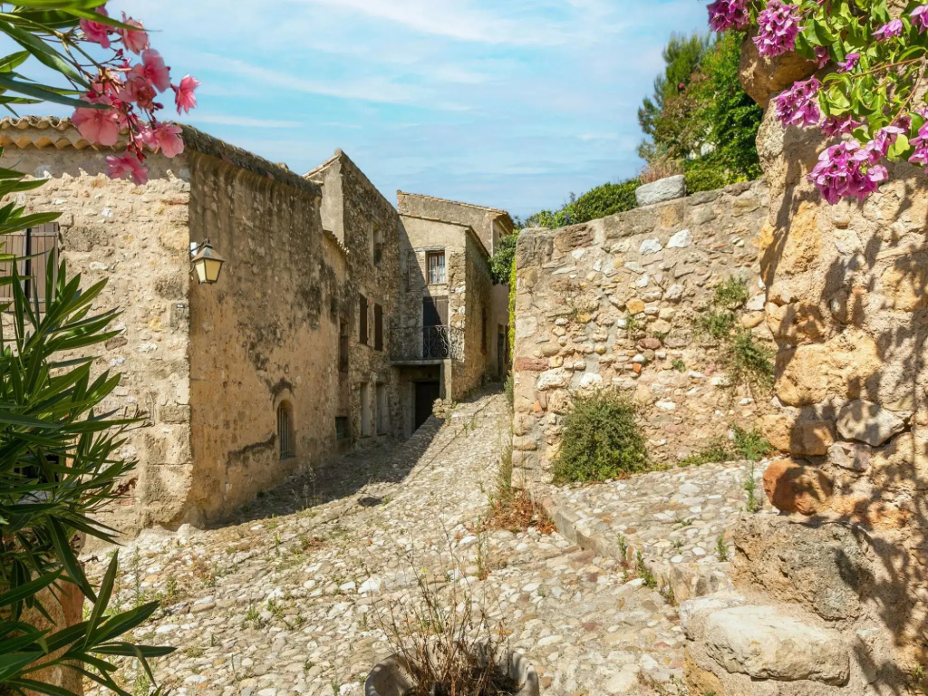 Comfortable Holiday Home in Montouliers near Bize Minervois