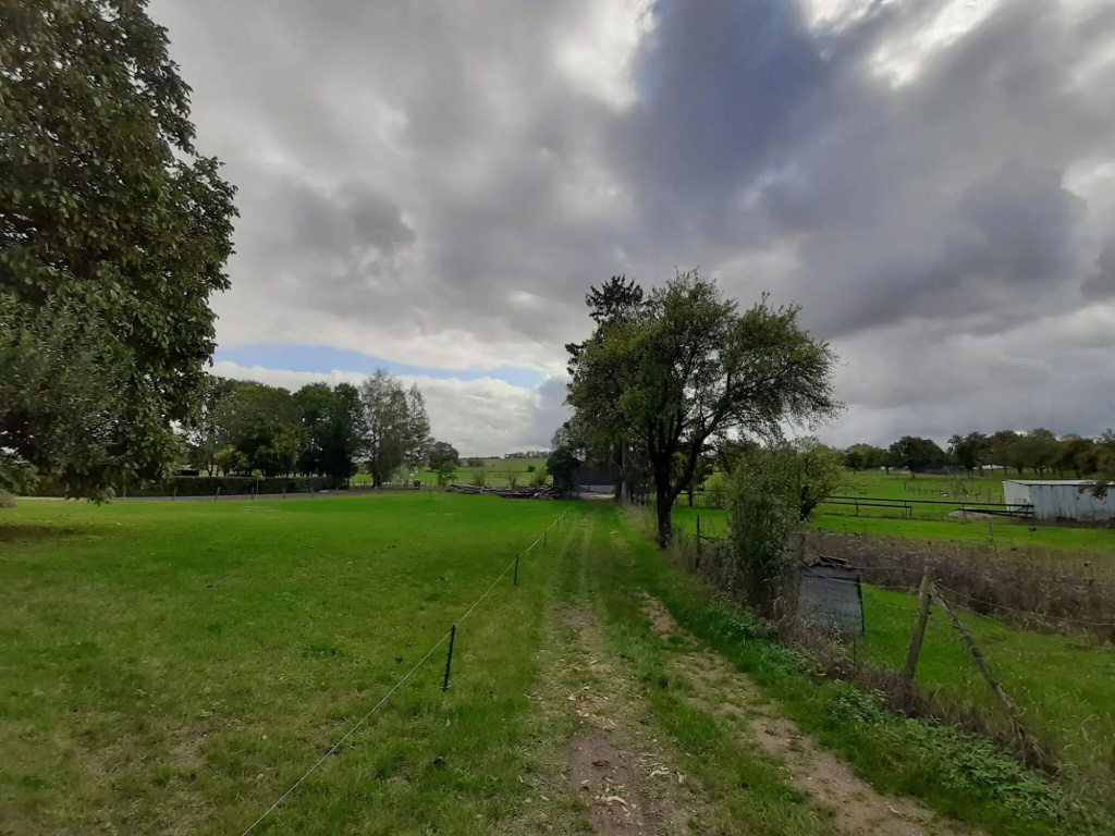 Elegant Retreat in Nattenheim