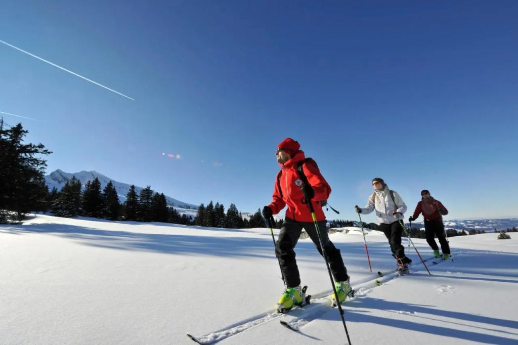 Hotel Säntis Lodge