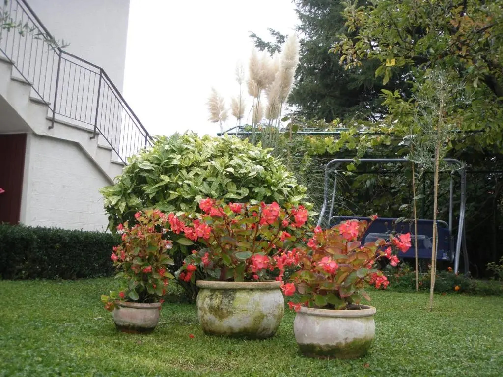 Apartments Katja