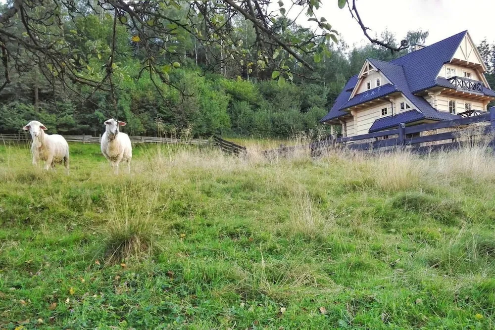 Beautiful Large Villa in Tylmanowa
