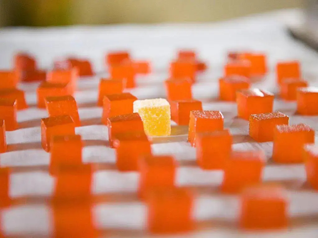 Logis Hôtel Beauséjour