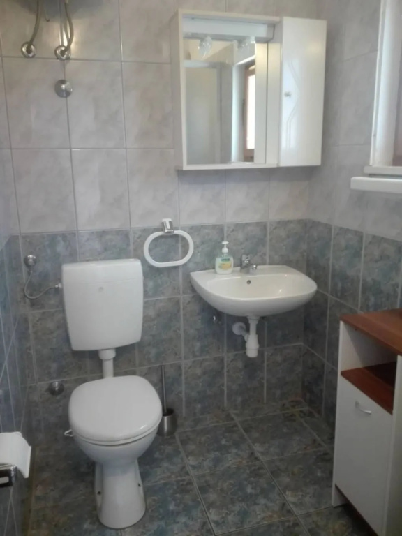 Apartment Soni - with barbecue; A1 Postira, Island Brac