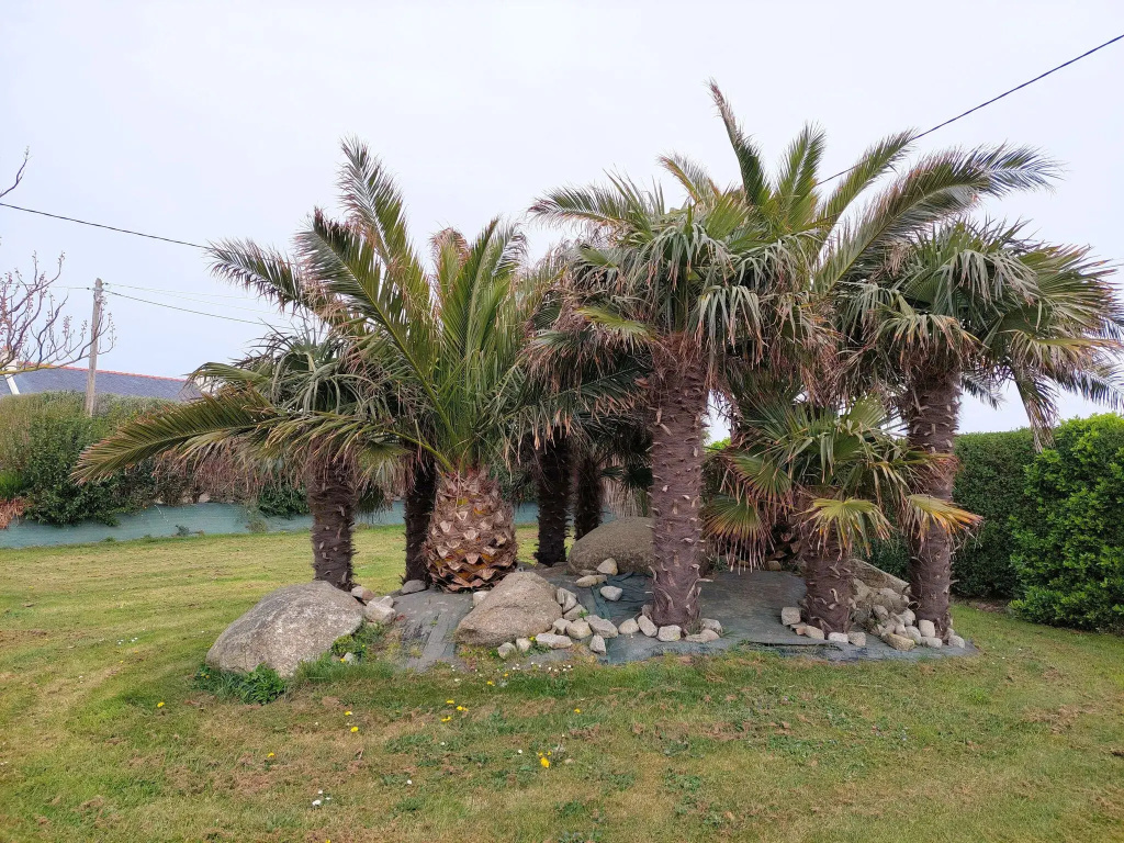 Semi-detached house with sea views, Cléder