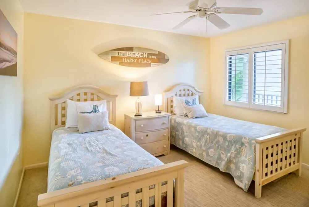 Loggerhead 282