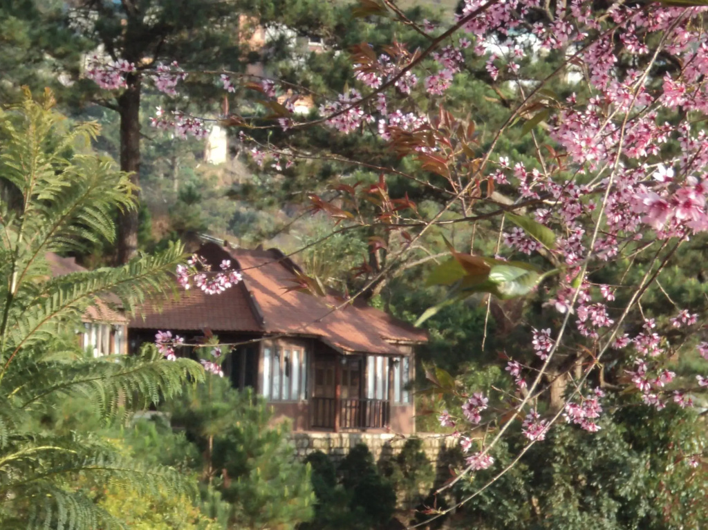 Osaka Village DaLat