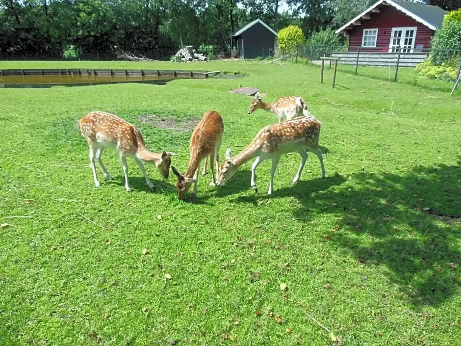 B&B Landgoed Sonneborghe