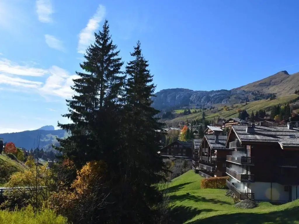Appartement Le Grand-Bornand, 1 pièce, 4 personnes - FR-1-241-129