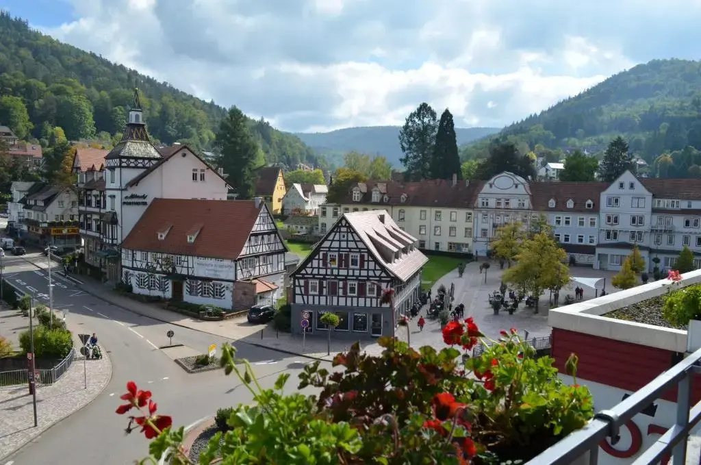 Hotel Harzer am Kurpark