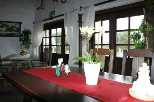 Czarny Koń
