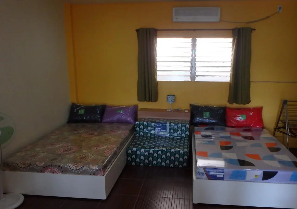 Mango Tree House