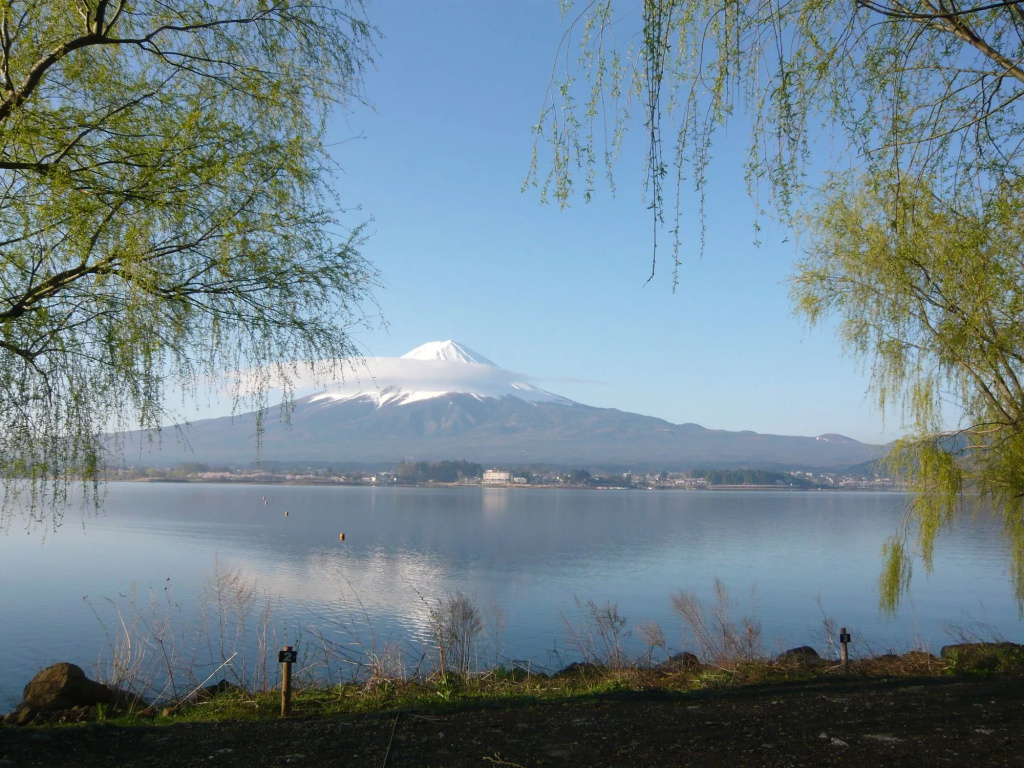 Cottage Tozawa Center