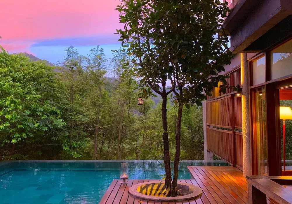 The Shorea