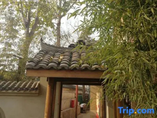 Sichuan Longzhaoshu