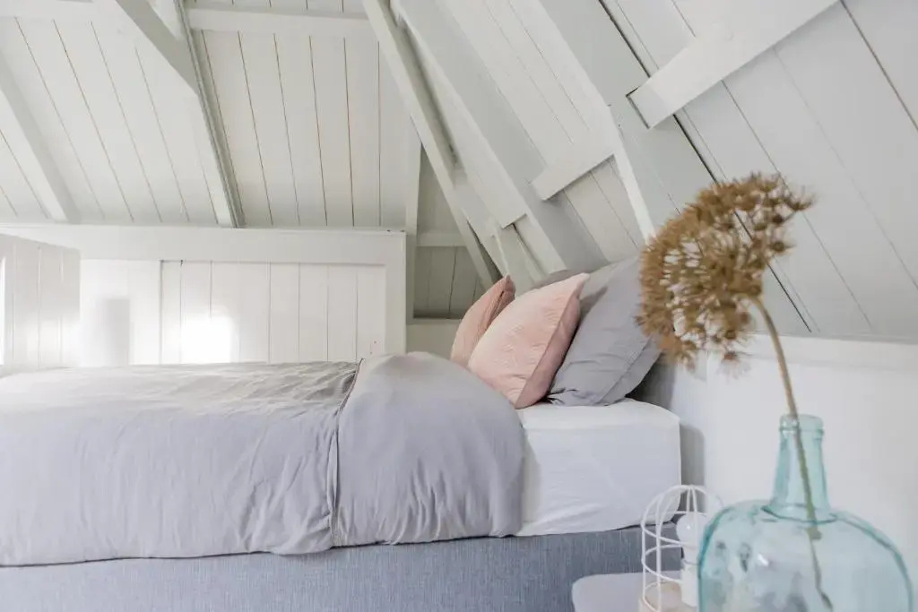 De Friese Wouden
