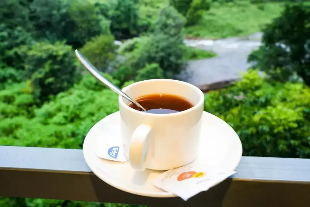 Misty Range Resorts , Marayoor
