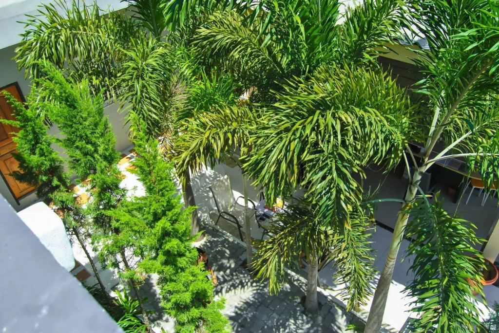 Sarin Guesthouse สาริน