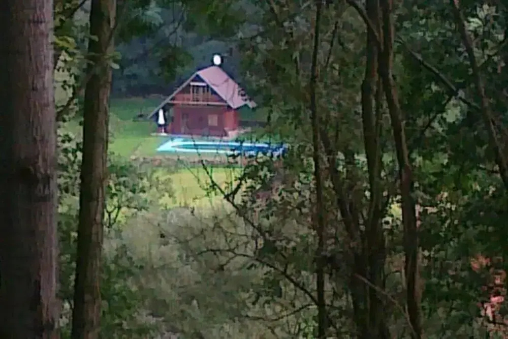 Pet-friendly Holiday Home