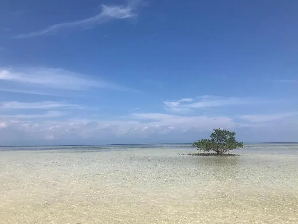 Villa Juana