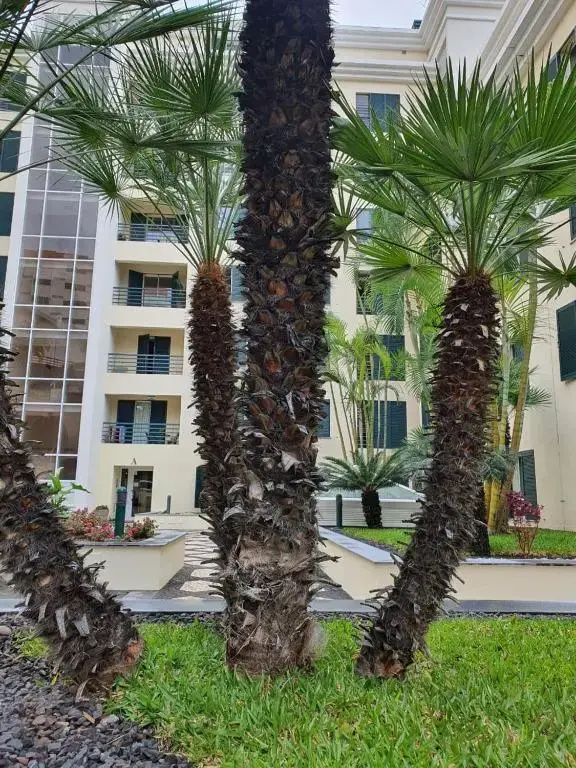 Suncoast Residence V (Free parking)