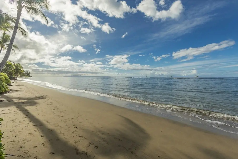 Lahaina Shores #218 Condo