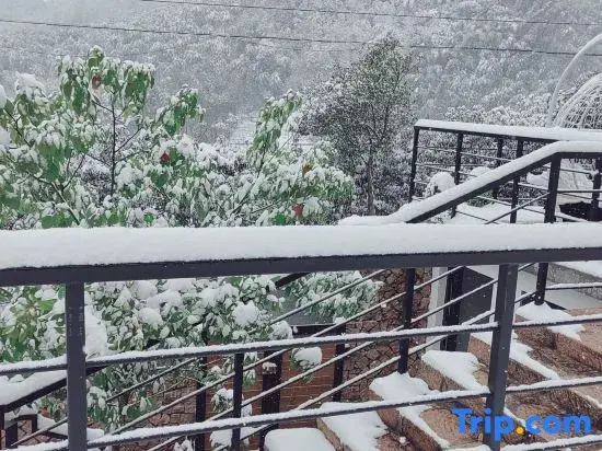 Wuji Fine•Mogan Mountain resort hotel