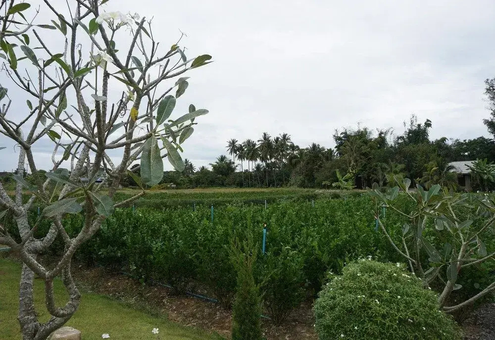 The Wes Village, incl free Breakfast & free Thai food dinner