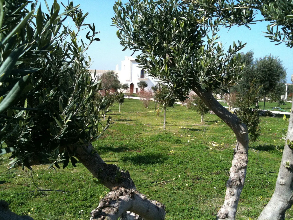 Casale del Murgese Country Resort