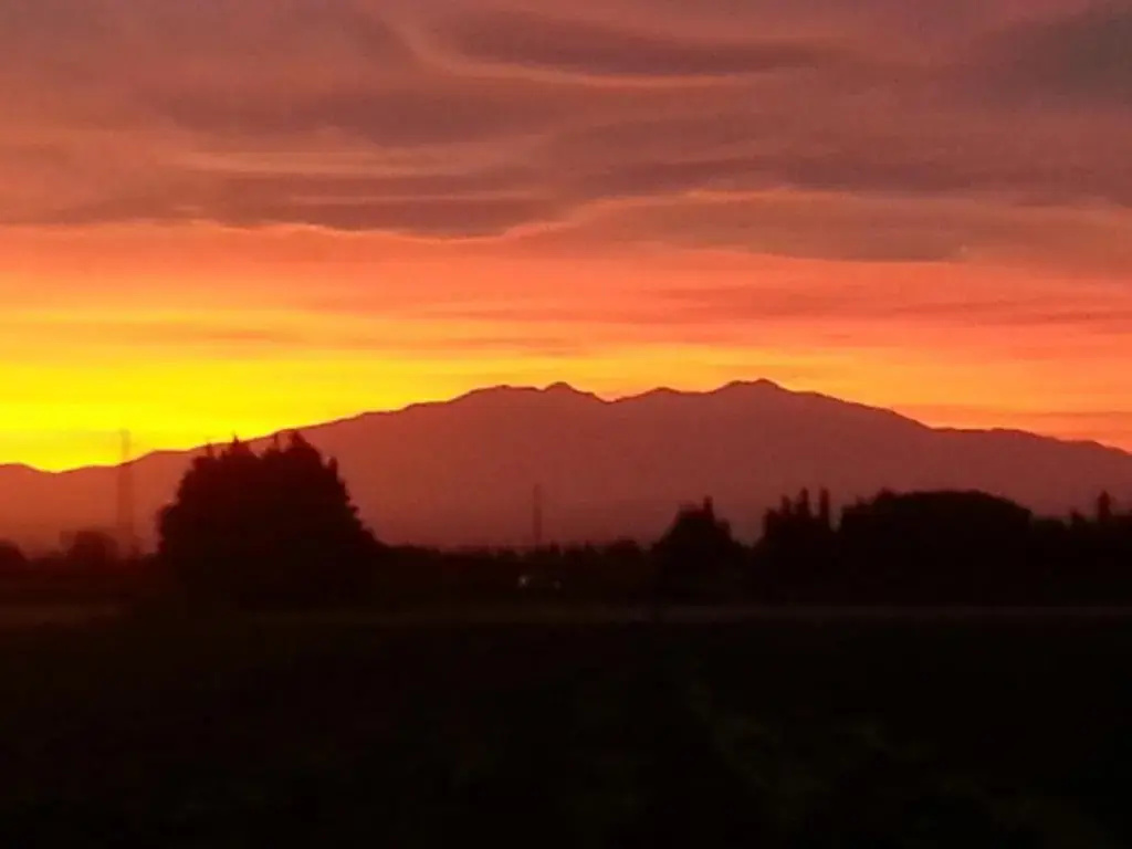 Domaine Mas Bazan