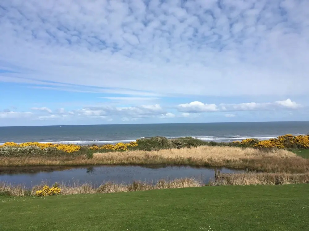 Beach Walk