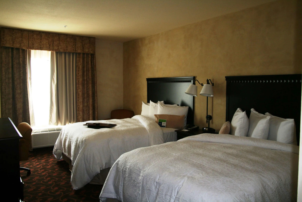 Hampton Inn & Suites Dallas-Arlington North-Entertainment District