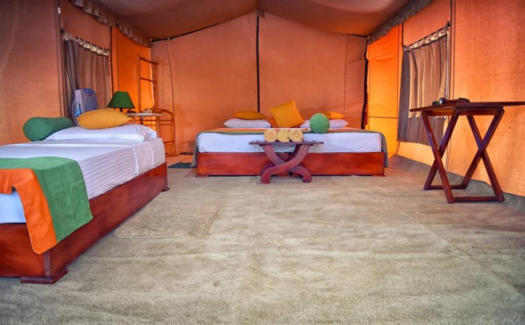 Wilderness Camping Yala