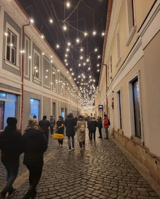 Făget Residence
