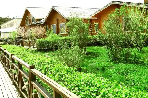 Zhangjiakou Dolomiti White Birch Hotel
