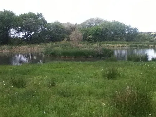 The Swallows Guest House