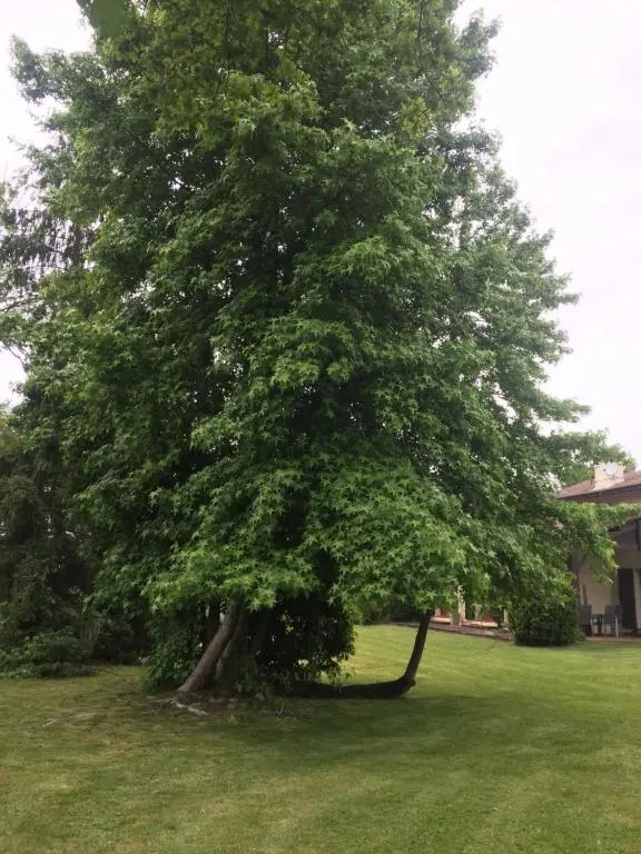 Mariandre chambre chez l'habitant