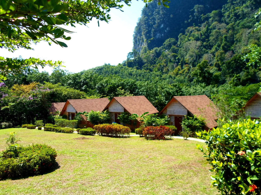 Cliff and River Jungle Resort(The)