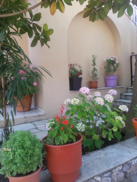Maria Studios