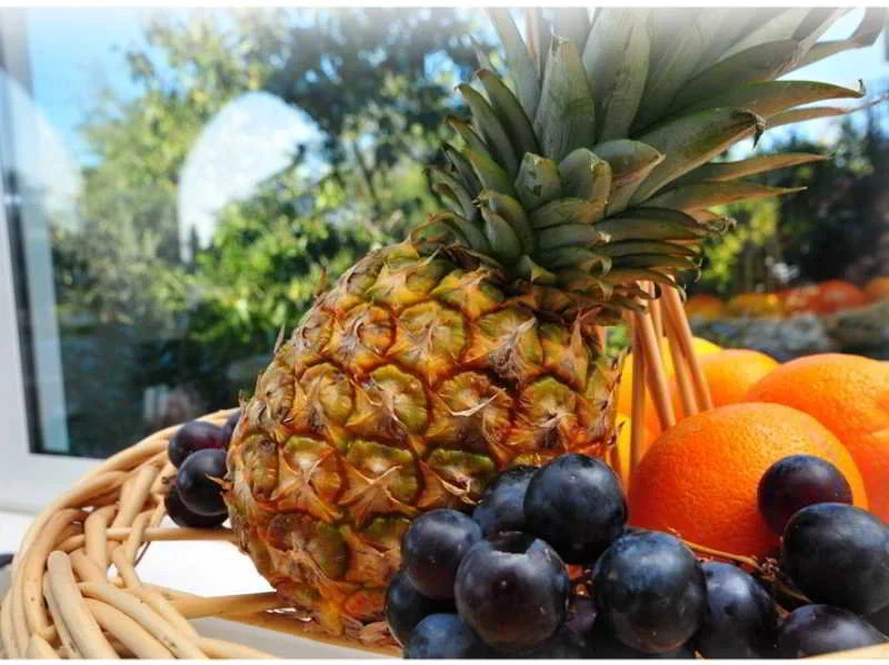 Rooms by the sea Sukosan, Zadar - 20112