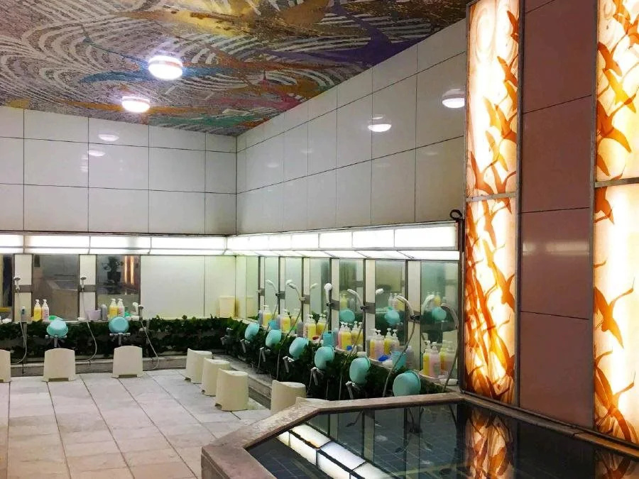 Capsule and Sauna Century